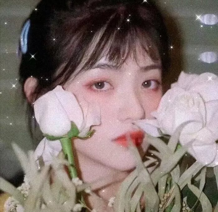 青春恋歌
